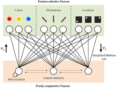 Dual functional states of working memory realized by memristor-based neural network